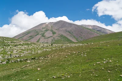 20250622_093029_gruzja_0630.webp