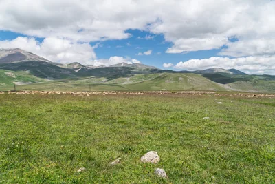 20250622_100104_gruzja_0638.webp