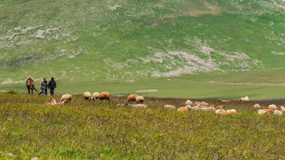20250622_100117_gruzja_0639.webp