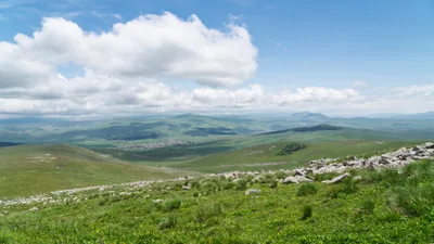 20250622_111843_gruzja_0657.webp