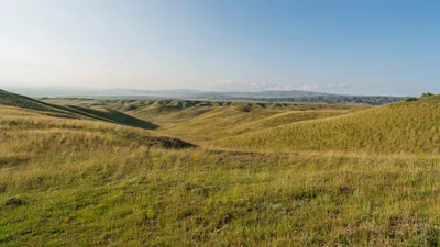 20250623_171106_gruzja_0753.webp