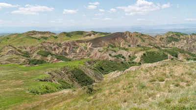 20250624_112459_gruzja_0807.webp