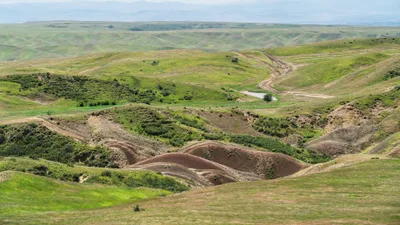 20250624_112523_gruzja_0809.webp