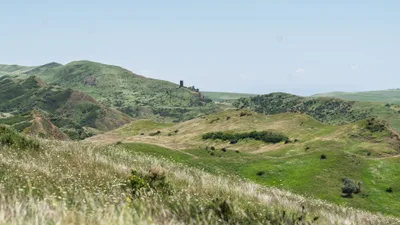 20250624_113311_gruzja_0831.webp
