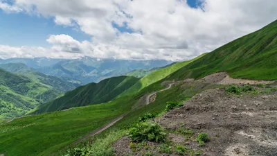 20250625_121304_gruzja_0942.webp