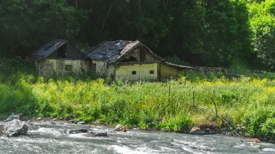 20250626_132706_gruzja_1078.webp