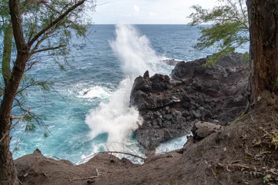 20230406_0007_4x4_hawaii.webp