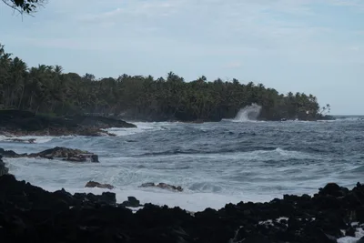 20230406_0036_4x4_hawaii.webp