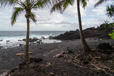 20230406_0043_4x4_hawaii.webp