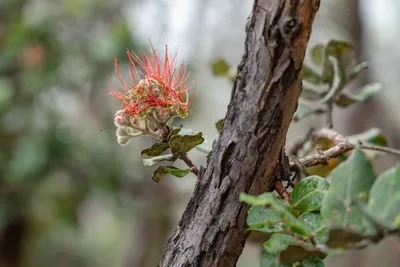 20230407_0102_4x4_hawaii.webp