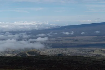 20230408_0155_4x4_hawaii.webp