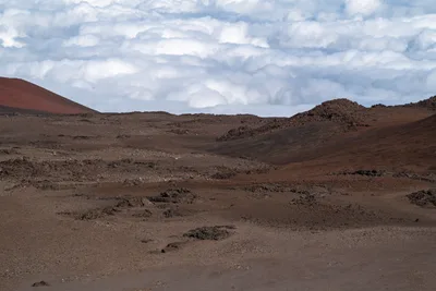 20230408_0167_4x4_hawaii.webp