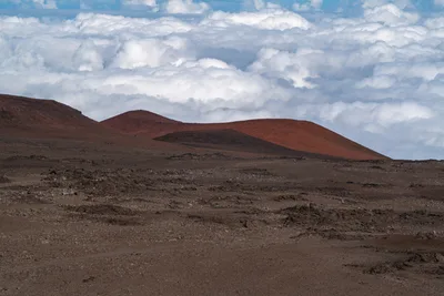 20230408_0168_4x4_hawaii.webp