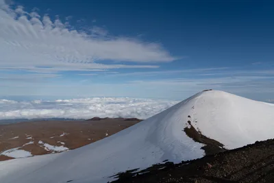 20230408_0239_4x4_hawaii.webp