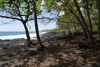 20230408_0357_4x4_hawaii.webp