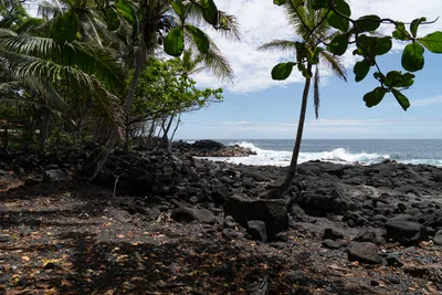 20230408_0358_4x4_hawaii.webp