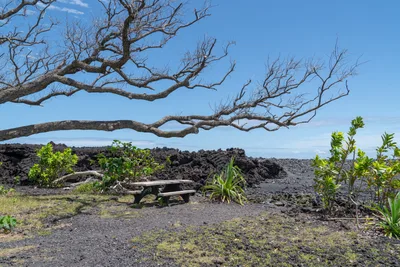 20230408_0363_4x4_hawaii.webp